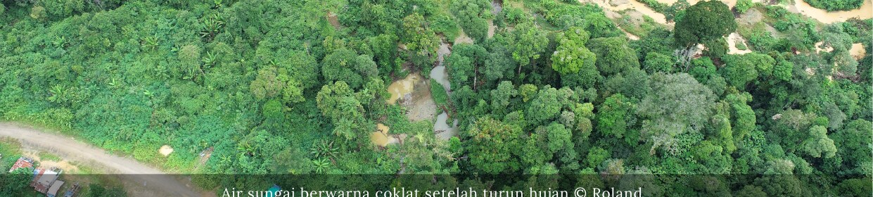 The Busang river runs chocolate-brown after rain